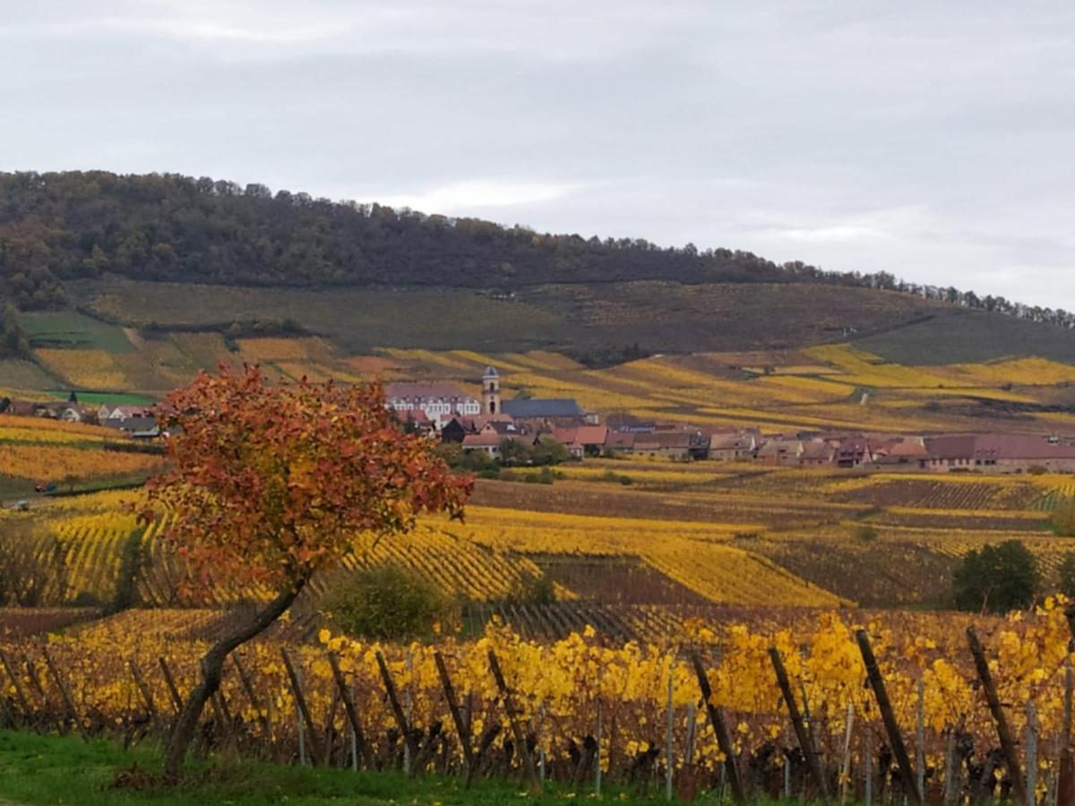 Le Bubele Au Coeur Du Centre Medieval Et Vignoble ريبوفيل المظهر الخارجي الصورة